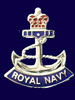 RN Lapel Pins